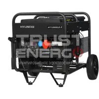 Бензиновый генератор Hyundai HY 12000LE-3 с АВР Открытая на раме Hyundai  trustenergo.ru
 Бензиновый генератор Hyundai HY 12000LE-3 с АВР Открытая на раме Hyundai  trustenergo.ru